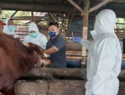 Pemerintah Percepat Vaksinasi Bagi Hewan Ternak