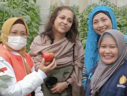 IFAD Apresiasi Keberhasilan Kementan Jalankan Program Regenerasi Petani
