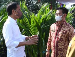 Presiden: Terima Kasih Petani dan Pak Menteri, Pertanian Terus Berproduksi