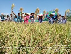 Penerapan CSA Dongkrak Produktivitas Petani Lombok Tengah