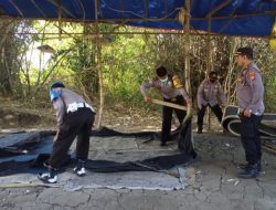 Polisi Bersama Kades Wonokarang Bongkar Arena Sabung Ayam