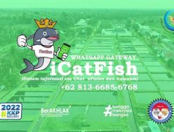 KKP Luncurkan Konsultasi Budidaya Ikan Secara Online