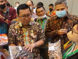 Badan Pangan Nasional Dorong Penganekaragaman Pangan, Antisipasi Kenaikan Harga Gandum