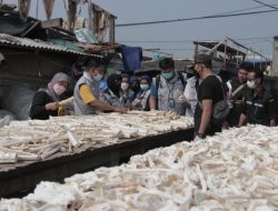 Gelar Pelatihan, KKP Kendalikan Perdagangan Hiu dan Pari