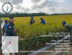 Melalui FFD CSA buktikan Produktivitas Petani Banyuasin Meningkat