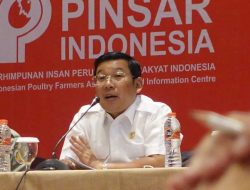 Sikapi Lonjakan Harga Telur, ini Langkah NFA Stabilkan Harga