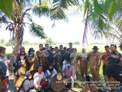 Program CSA Kementan Buktikan Petani Deli Serdang mengalami Peningkatan Produktivitas