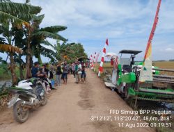 Giat FFD CSA Kementan Bantu Ratusan Petani Kabupaten Katingan Tingkatkan Produktivitas