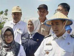 Tingkatkan Produktivitas Petani, Kabupaten Pangkep Masifkan CSA