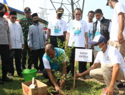 Edukasi Masyarakat Bertransfomasi Pohon di Bawah Jalur SUTET Depok-Gandul, PLN Harap Warga Peduli Penghijauan