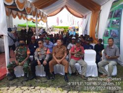 Petani Cirebon Terus Tingkatkan Produktivitas Dengan Program CSA Kementan