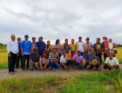 Pogram CSA Kementan Terbukti Mampu Genjot Produktivitas Petani Deli Serdang