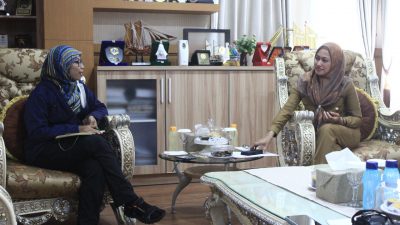 Strategi Smart Branding Bupati Indah Wujudkan Smart City di Luwu Utara