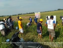 Petani Deli Serdang Akui Teknologi CSA Kementan Mampu Tingkatkan Produktivitas