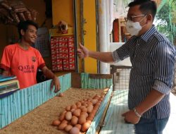 Badan Pangan Siap Lakukan Intervensi, Jika Harga Telur Tak Turun