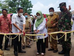 Grand Opening Resto and Foodcourt Borobudur Teras, Wisata Kuliner Berkonsep Taman Mewah di Jakarta Barat