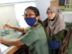 Syahrani, Mahasiswa Polbangtan Kementan Tawarkan Pertanian Masa Depan Lewat Kultur Jaringan