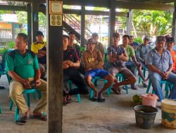 Program CSA Kementan Dongkrak Pertanian Organik di Kabupaten Pinrang