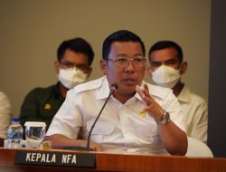 Jadi Mitra Komisi IV, Kepala NFA Ungkap Pentingnya Menjaga Stok Pangan