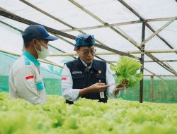 Kepala BPPSDMP : Petani Milenial, Kunci Sukses Sektor Pertanian Masa Depan