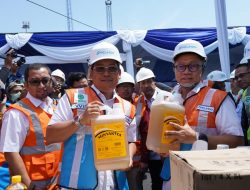 Kepala NFA: Pemerataan Distribusi Kunci Menjaga Stabilitas Pangan