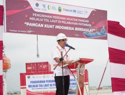 Stok Kedelai Tinggal 7 Hari, Begini Penjelasan NFA