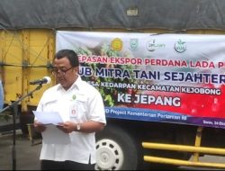 Keren! Petani Purbalingga Ekspor 300 Ton Lada ke Jepang
