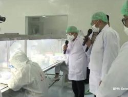 Miliki Potensi Besar, Wapres: Industri Sarang Burung Walet Harus Dikelola dengan Baik