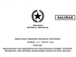 Pemerintah Terbitkan Aturan Pengawasan dan Pengendalian NSPK Manajemen ASN