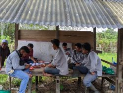 Melalui Permagangan, Kementan Bekali Petani Millenial Sertifikat Kompetensi