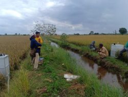Kementan Tetap Konsisten Lakukan Uji Emisi Gas Rumah Kaca di Lahan Sawah Tahun 2022