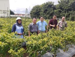 Politeknik Enjiniring Kementan, Cetak Lulusan Berkompetensi Melalui MBKM