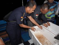 KKP Intensifkan Pengawasan Pengelolaan BBL di Jawa Barat