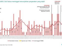 Kasus Baru dan Kematian Akibat Gagal Ginjal Turun Setelah Penghentian Penggunaan Obat Sirup