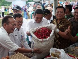 Perkuat Stok Cadangan Pangan, NFA Dorong Pengembangan Cabai Merah Banten