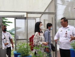 Penghujung Tahun 2022, Politeknik Enjiniring Kementan Raih Penghargaan PDDIKTI Awards