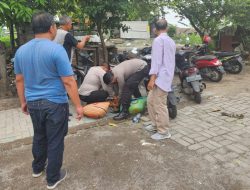 Judi Sabung Ayam di Candi Bubar Didatangi Polisi