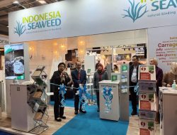 KKP Pasarkan Rumput Laut Indonesia di Uni Eropa