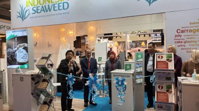 KKP Pasarkan Rumput Laut Indonesia di Uni Eropa