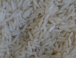 Rektor IPB Minta Kebutuhan Beras Dihitung Menggunakan Data BPS