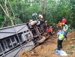 Bus Pariwisata Terjun Ke Jurang, 7 Orang Meninggal Dunia
