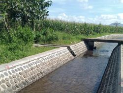 BBWS Brantas Revitalisasi Jaringan Irigasi DI Talang Jember Jatim