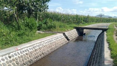 BBWS Brantas Revitalisasi Jaringan Irigasi DI Talang Jember Jatim
