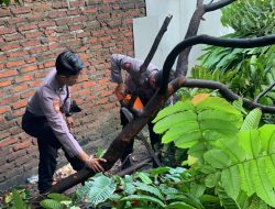 Polisi Bersama Forkopimka Waru Bersinergi Bantu Warga Terdampak Angin Kencang di Wilayah Waru