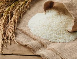 Produsen Beras Minta Bulog Serap Hasil Panen Petani