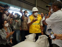 Ajak Kementerian Perdagangan, Satgas Pangan, BUMN, Asosiasi, dan Pedagang Cek Stok Beras di Gudang Bulog, Badan Pangan Nasional Siap Gelontorkan Beras untuk Jaga Stabilisasi Harga Sampai Panen Raya