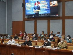 Tinggal Tunggu Sumpah Shayne Pattynama Resmi Jadi WNI