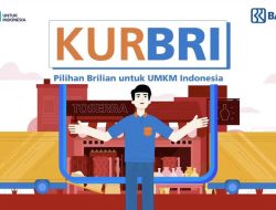 Dijamin Pasti Cair, Syarat Ajukan KUR BRI 2023