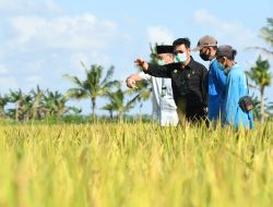 Kementan Gaungkan Genta Organik di Kalimantan Selatan
