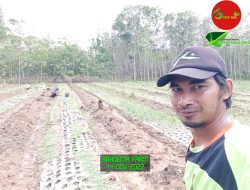 Terapkan Smart Farming, Petani Millenial Tabalong Nikmati Efisiensi Biaya Produksi